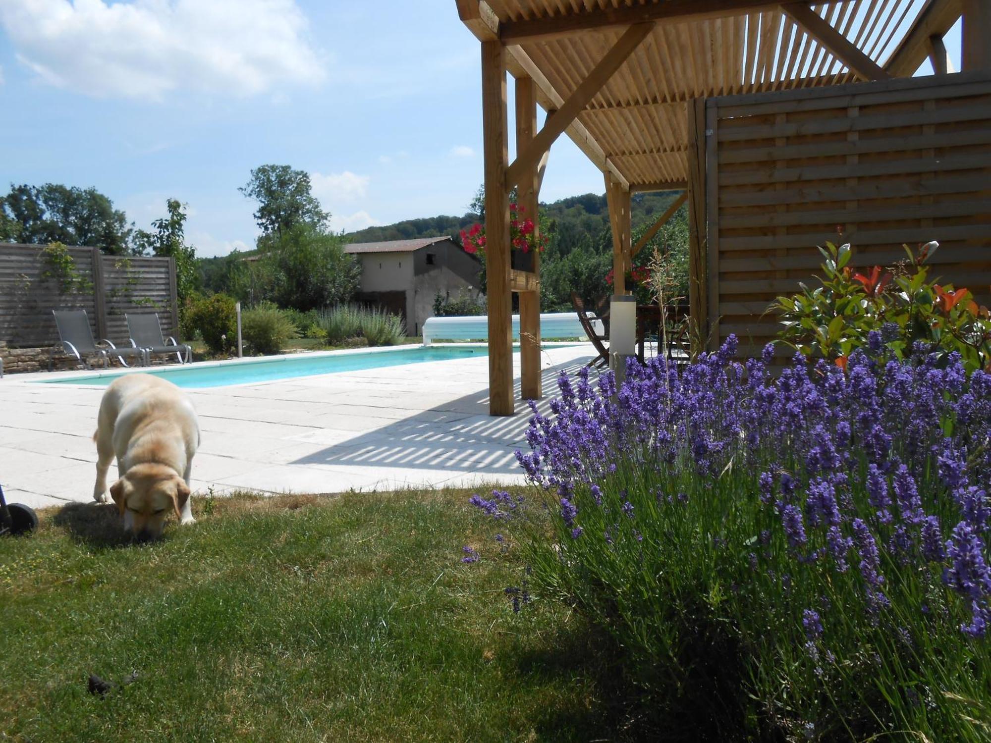 Les Grands Pres Bed & Breakfast Geney Bagian luar foto
